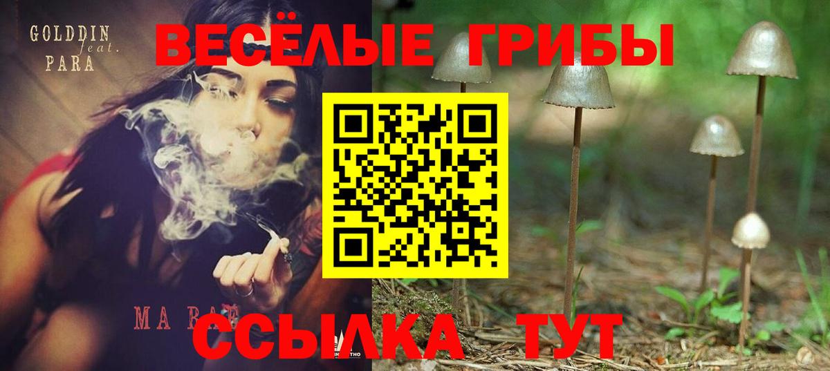 Галлюциногенные грибы мухоморы Дербент
